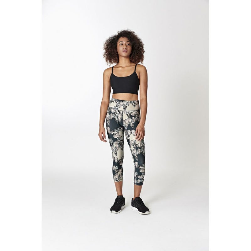 カプリバタフライドリーム